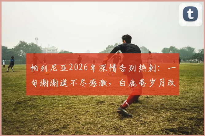 帕利尼亚2026年深情告别热刺：一句谢谢道不尽感激，白鹿巷岁月改变人生轨迹